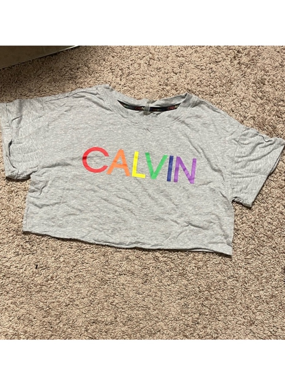 Calvin Klein Performance Crop Tee with Rainbow Logo